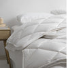 Luxe Four Seasons 550GSM Wool Quilt Range